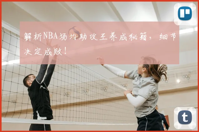 解析NBA场均助攻王养成秘籍，细节决定成败！